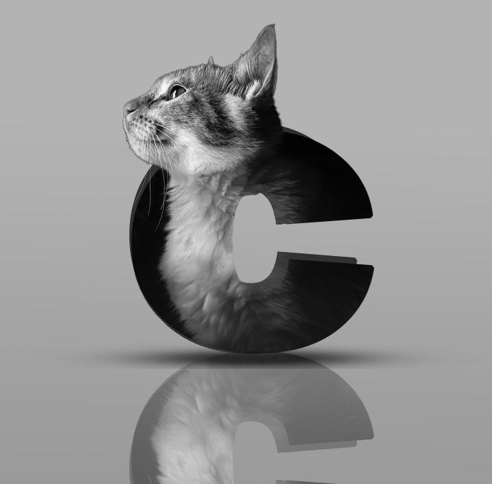 Cat Graphics